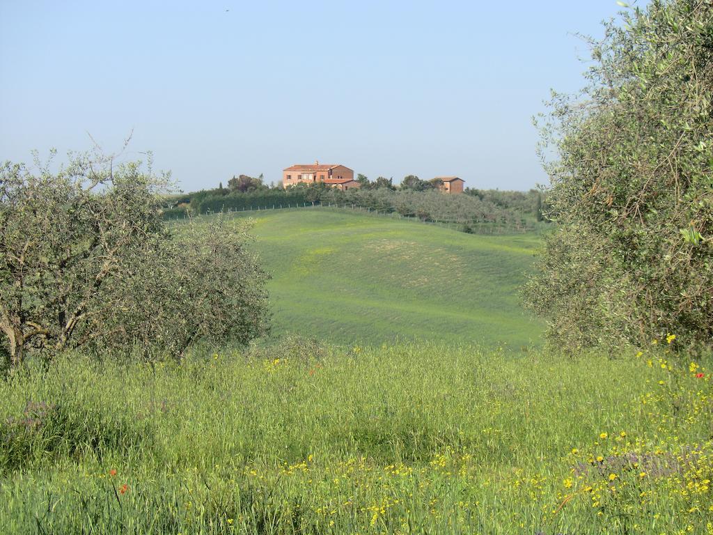 Agriturismo Podernuovo Ашяно Екстер'єр фото